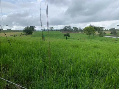 Finca en venta