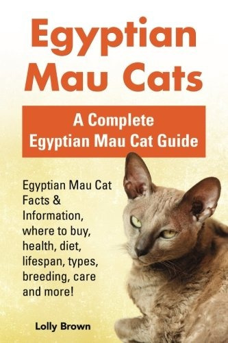 Gatos Mau Egipcios Datos De Mau Cat Egipcios E Informacion S