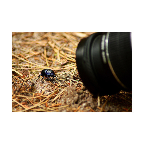 Kit Filtro Macro 67mm Nikon D7200 D7100 D5600 D5500 D810