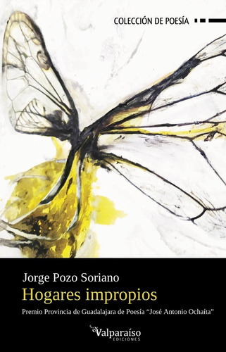 HOGARES IMPROPIOS, de POZO SORIANO, JORGE. Editorial VALPARAÍSO EDICIONES, tapa blanda en español