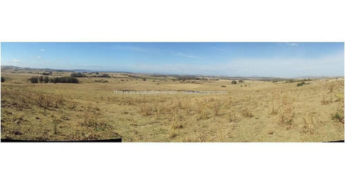 Imagen 5 de 9 de Terreno - Maldonado