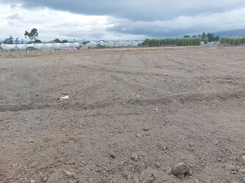 Hermosos Lote De Terreno De 270m2 En Atuntaqui Imbabura
