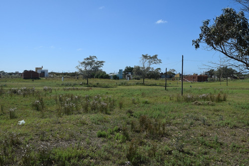 Imagen 3 de 16 de Terreno San Clemente Del Tuyú, Barrio Playa Grande Con Arboles. Escritura Inmediata