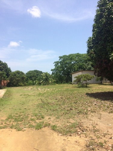 Imagem 14 de 20 de Excelente Granja 04 Hec, Paratibe Próximo Ct Do Sport, Aceito Imóvel Ou Automóvel - Ch00010