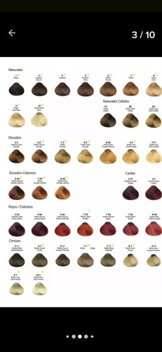 Biotherapy Color X 60grs 48 Unid
