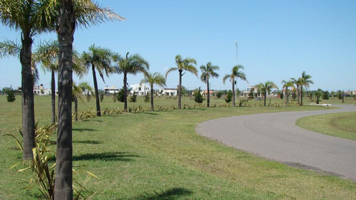 Imagen 13 de 17 de Lote En Venta En Oportunidad En Puerto Roldan