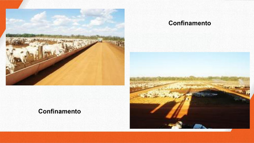Imagem 19 de 30 de Fazenda 2444 Alqueires, Boa De Água Com Represas E Rio, Fábrica De Ração, 29 Pivôs, Área De Pastagem, Colônia, Casa Sede 600m2, Galpões,pista De Pouso - Fa00102 - 70229637