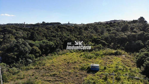 Imagem 5 de 23 de Área À Venda, 11914 M² Por R$ 5.766.419,56 - Cidade Industrial - Curitiba/pr - Ar0007