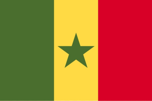 Bandera De Senegal - Lámina 45 X 30 Cm.