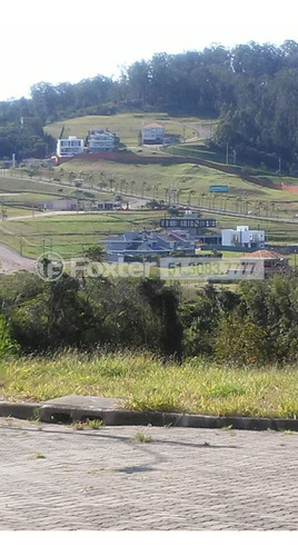 Imagem 9 de 21 de Terreno, 252 M², Campo Novo - 190385
