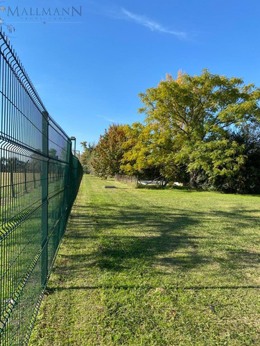 Terreno En San Francisco | Mallmann Propiedades