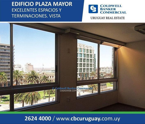 Alquiler De Oficina - Plaza Independencia - Ciudad Vieja