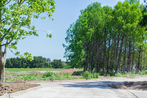 Lote Con Vista A Laguna En Venta - Barrio Cercana, Canning
