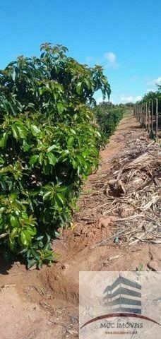 Imagem 18 de 19 de Granja E Empresa De Agronegócio A Venda, Pureza