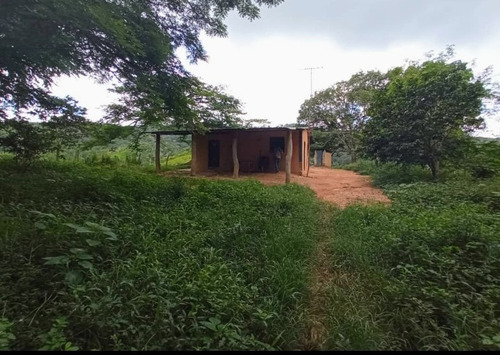 Imagen 7 de 30 de Vendo Finca En Tocuyito Vía Cachinche ( Dt )