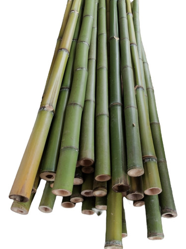 12 Varas De Bambú Tutores Estacas Jardin 1.5m/3-4 Cm Grosor