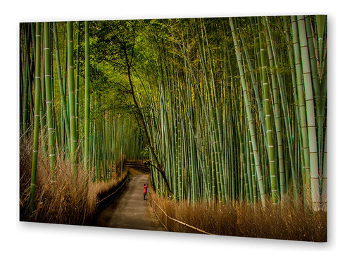 Cuadro 16x24cm Bosque Bambu Japón Caminata Relajante