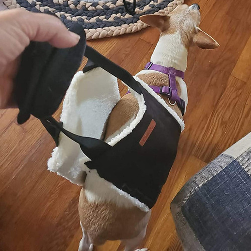 Arnés De Apoyo Para La Cadera De Las Patas Traseras De La