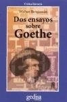 Dos Ensayos Sobre Goethe - Benjamin Walter (papel)