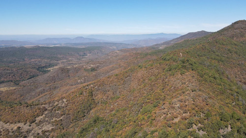 Terreno En Venta De Uso Rústico En Tapalpa