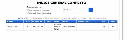 Imagen 8 de 9 de Yegua Spc Sana A Revisar
