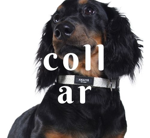 Collar Perro