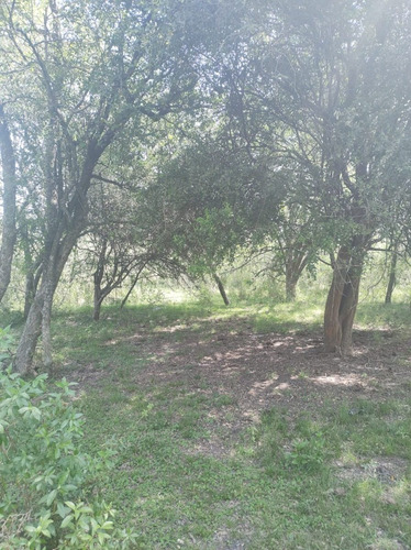 Imagen 10 de 15 de En Venta Chacra Mojones Norte 10.5 Ha