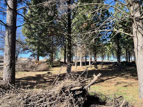 Terreno En Loteo Pine Zone
