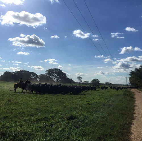 Imagen 7 de 19 de Finca Agropecuaria En Guárico Con Pista De Aterrizaje