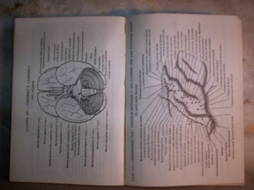 Atlas Manual De Anatomia Por Victor Pauchet Y S. Dupret