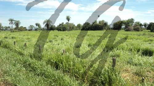 Imagem 13 de 19 de Fazenda - Fa00002 - 69828253