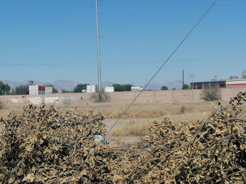 Imagen 1 de 5 de Terreno En Venta En El Consuelo