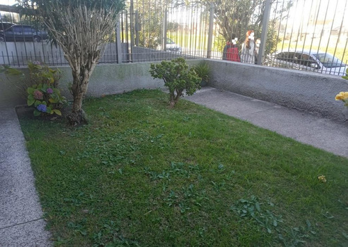Imagen 14 de 17 de Apartamento 2 Dormitorios En Malvín Ph Independiente.