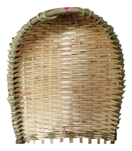 Bambúa De Bambú El Polvo De Basura De La Basura Sin Mango