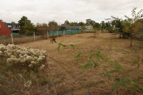 Imagen 2 de 5 de Terreno -venta - Permuta - Villa Elisa