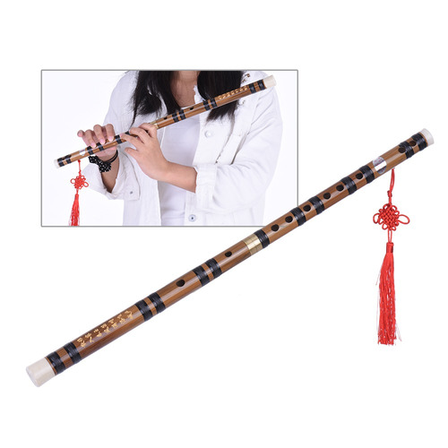 Flauta Bambu Amargo Feito À Mão Pluggable / Dizi Tradicional