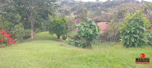 Finca En Arriendo En Guarne - Vereda San José