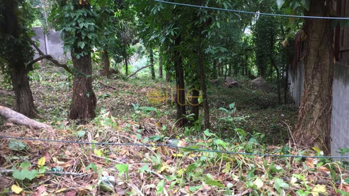 Imagem 7 de 11 de Terreno-à Venda-itanhangá-rio De Janeiro - Ebuf00038