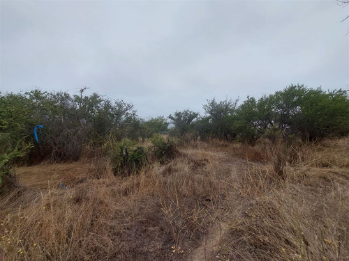 Terreno 5065 Paradero 8 Los Maitenes Limache