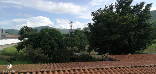 Imagen 4 de 24 de Se Vende Finca En Guayabita Turmero Estado Aragua/yessika Berrios 04249155109