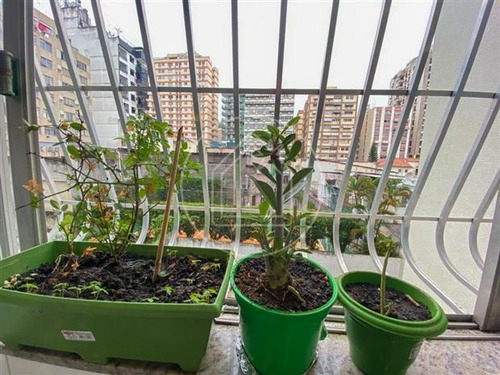 Apartamento - Ref: 826121