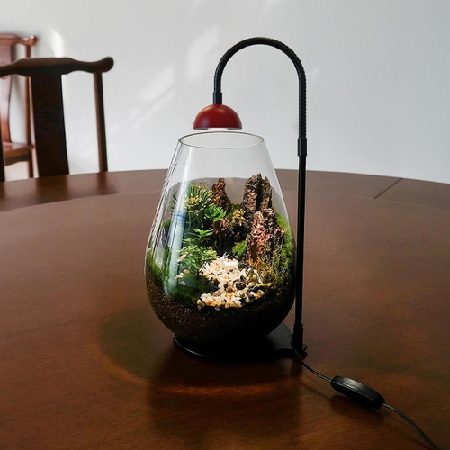 Indoor Plants Light With Timer Function Easy To Use Tabletop