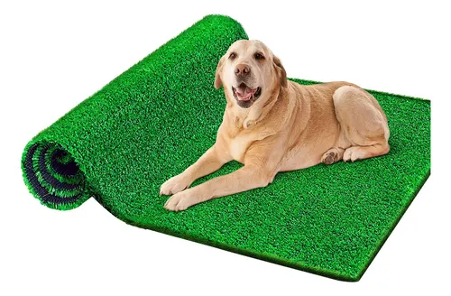 Grass like pee pads for dogs discount