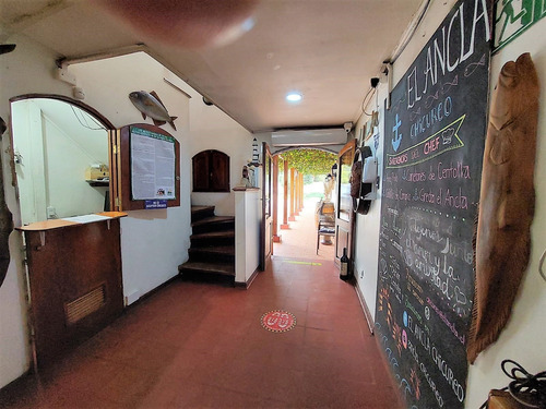 Imagen 6 de 15 de Comercial. Gran Sitio Esquina Con Casa Y Patente Comercial.