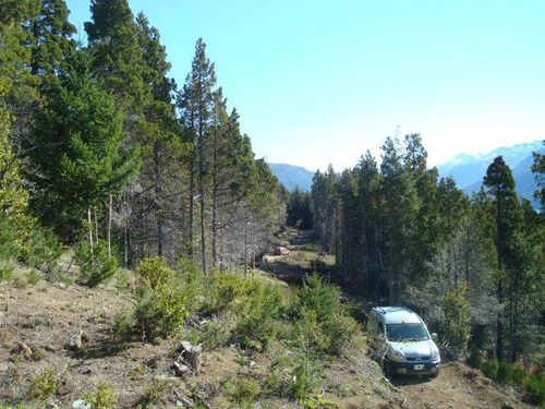 Imagen 6 de 20 de Terreno - Villa Mascardi