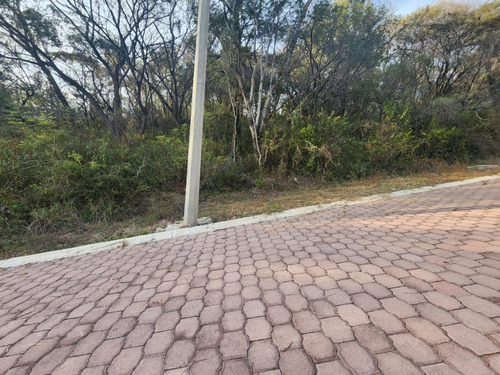 Venta Lote Gladiola 36 En Nueva Zona Del Fraccionamiento Muy Cerca De La Entrada Con Vistas Panorámicas, Poryecto Incluído En Rancho San Diego Ixtapan De La Sal Edomex