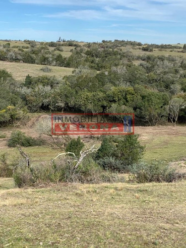 Imagen 25 de 30 de Venta Campo Ubicado En Garzón
