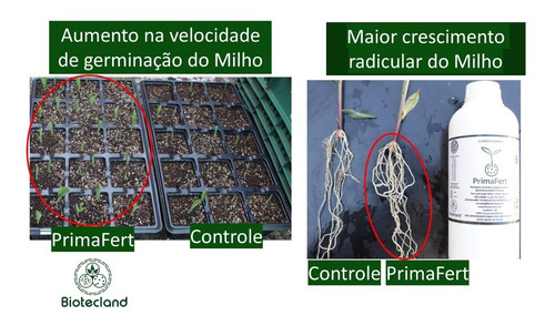 Imagem 6 de 10 de Primafert Fertilizante Orgânico De Micro Algas - Biotecland