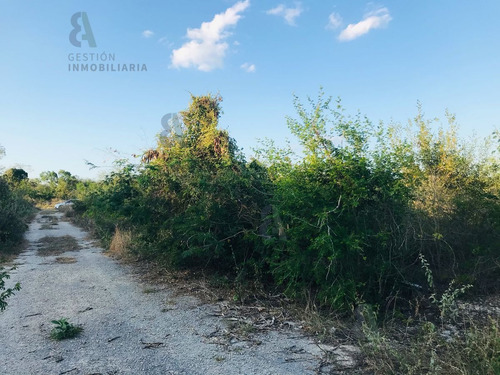 Imagen 5 de 9 de Terreno En Esquina En Venta En Komchen, Yucatán. Ctv126.