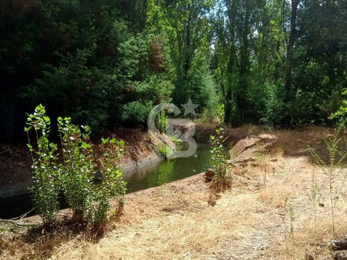Parcela En Venta  Quillón, Sector Manque Sur